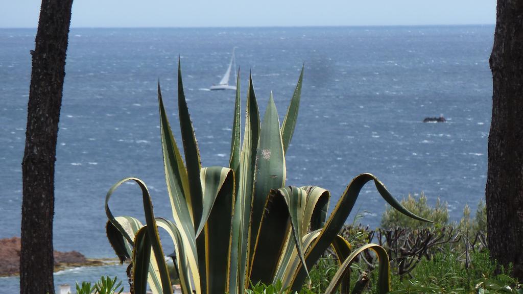 Bastidon Vue Mer Antheor-Cap-Roux Zimmer foto
