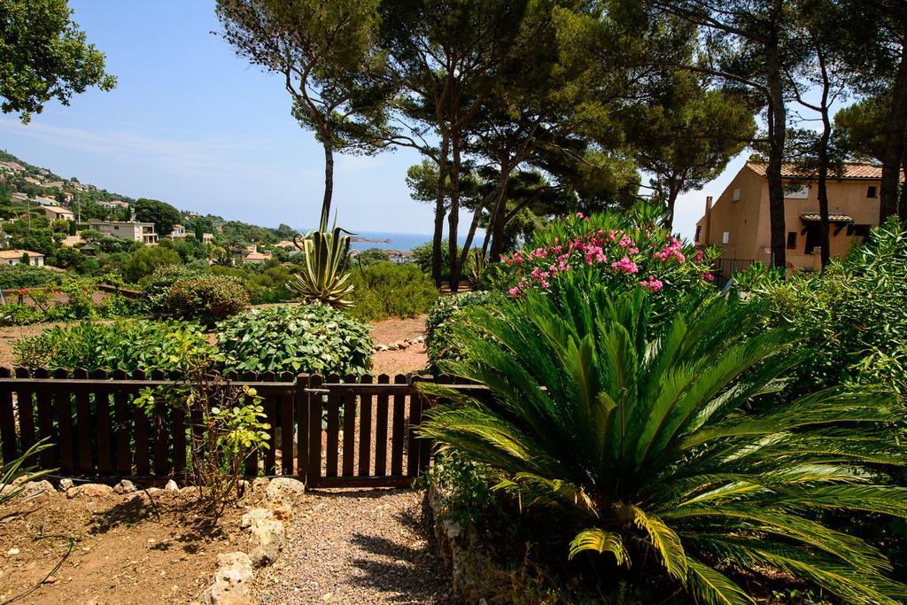 Bastidon Vue Mer Antheor-Cap-Roux Zimmer foto